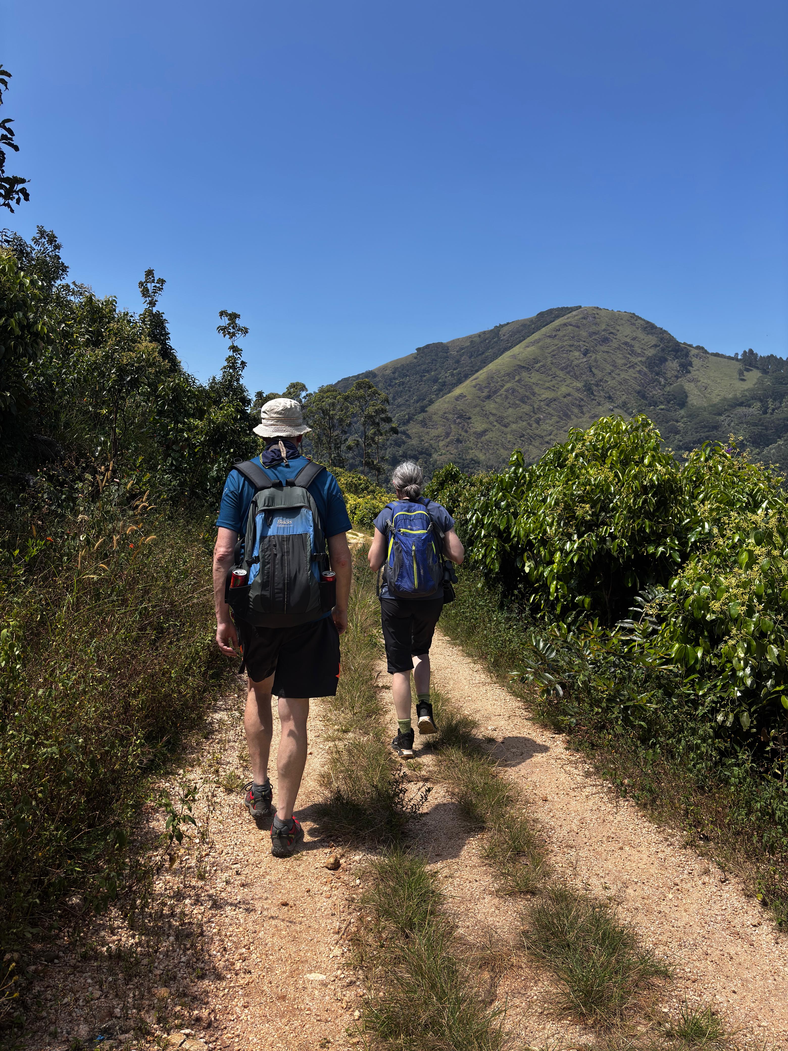 Horton Plains National Park Thumbnail 4