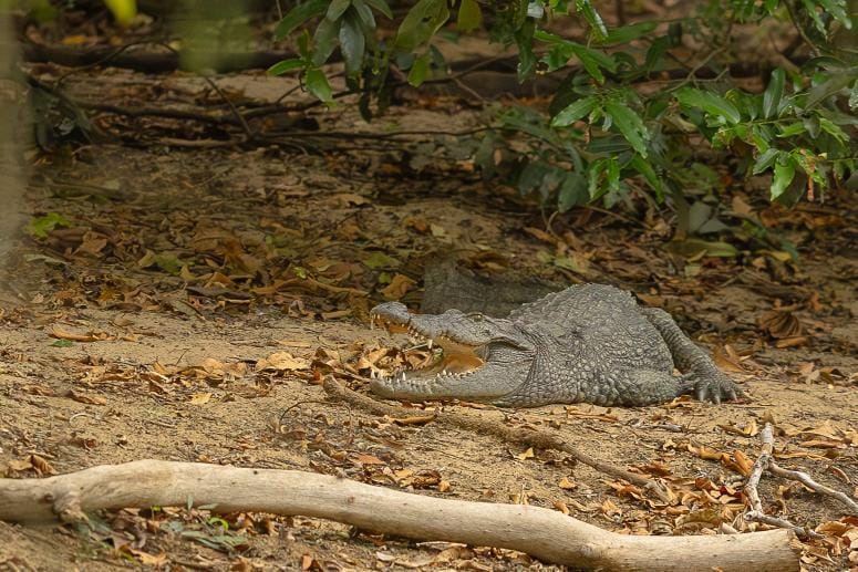 Wilpattu National Park Thumbnail 4